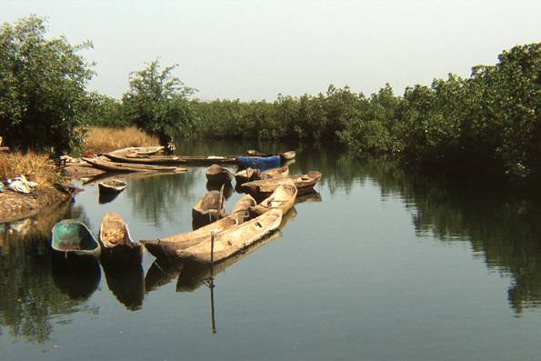 einbsume gambia